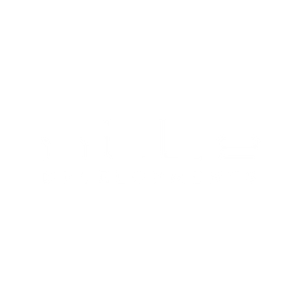 Nile Developments