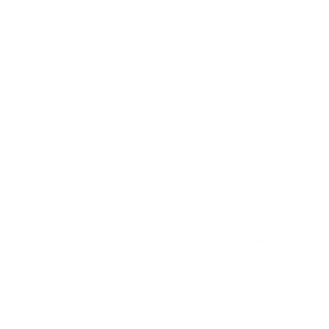 Palm Hills Developments
