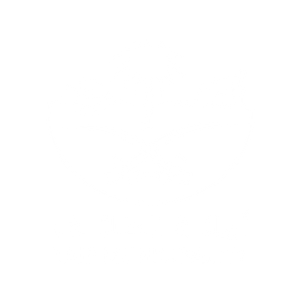 Taif Municipality